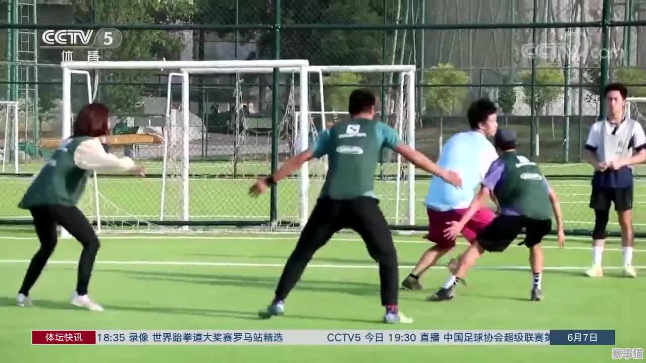 飞盘对足球的影响究竟有哪些